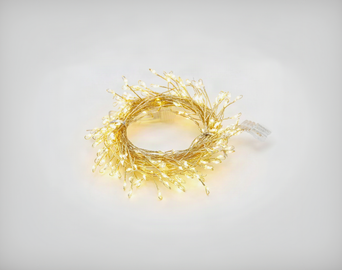 LED String Lights with Remote Control 0