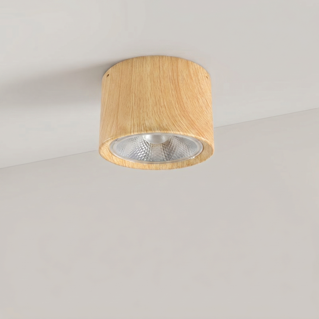 LED Surface Mounted Ceiling Spotlight for Living Room & Indoor Lighting 2