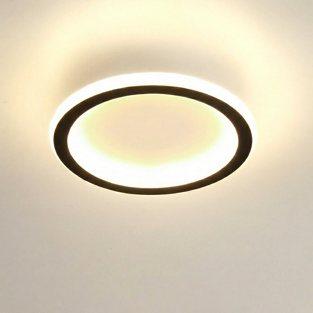 Modern Minimalist Flush Mount Lamp 0