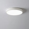 Modern Minimalist LED Ceiling Light 23CM 0