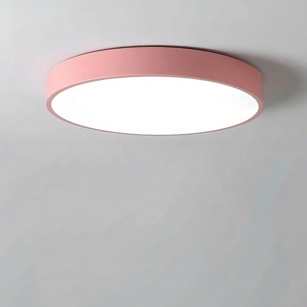 Modern Minimalist LED Ceiling Light 23CM 2