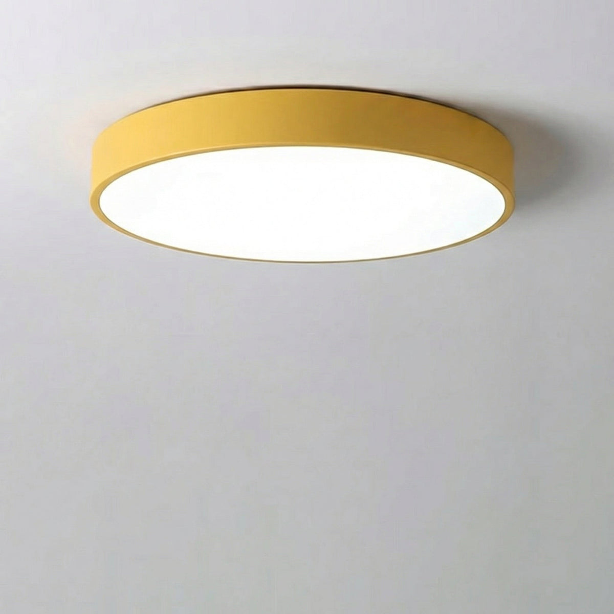 Modern Minimalist LED Ceiling Light 23CM 3