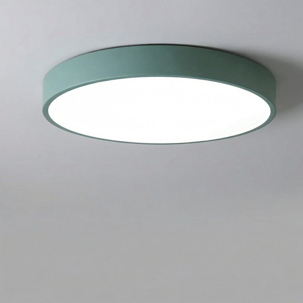 Modern Minimalist LED Ceiling Light 23CM 5